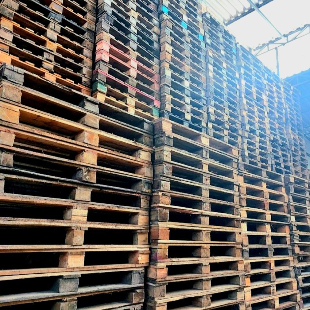 Screenshot_20260203_123343_Google